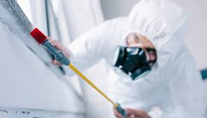 Best Residential Pest Control  in Spring Hill, FL